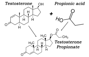 testosterone-propionate-hair-loss-w